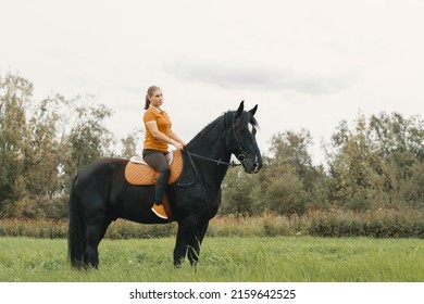 Black horse with female rider upon back standing in meadow, side view.