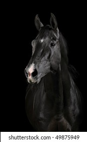 Black Horse Isolated On Black Background