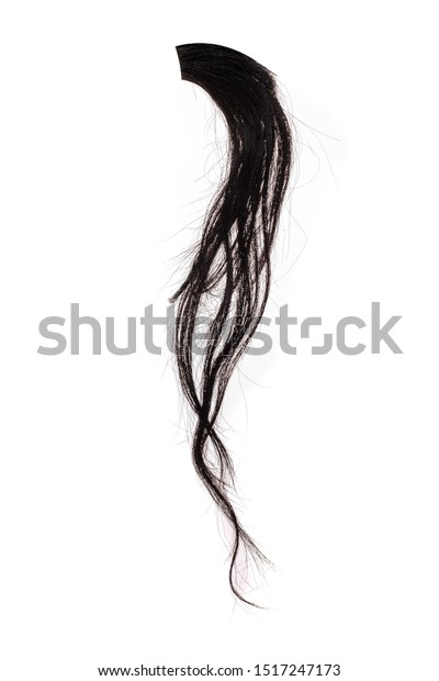 Black horsehair, ponytail or mane, lock of\
hair on a white\
background