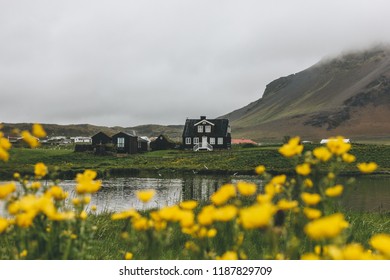 Black House On Green Hill In Iceland With Yellow Field Flowers On Foreground