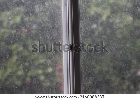 Black housefly resting on a window border between two dusty glass panes