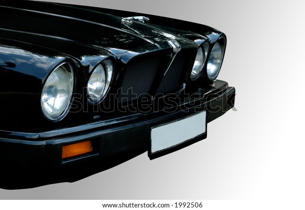 Black Jaguar\
isolated with clipping path on\
gray