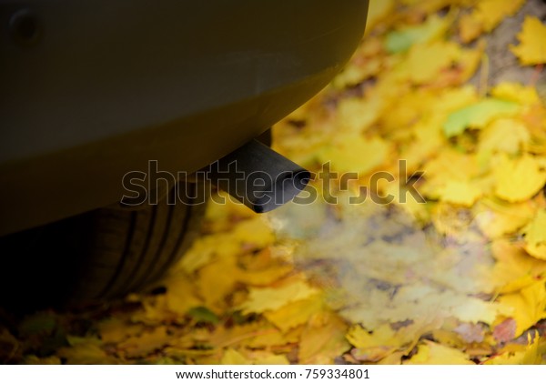 Black japanese SUV car auto on autumn\
leaves yellow trees background. Exhaust.\
Ecology