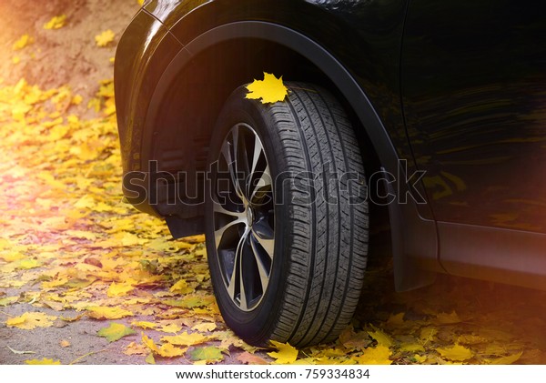 Black japanese SUV car auto on autumn leaves\
yellow trees background. Wheels.\
