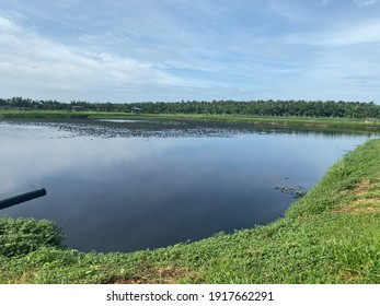 Black Lagoon, Treatment Plant. Anaerobic Pond.