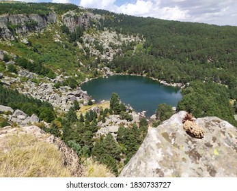 Black Lagoon Of Urbion, Soria, Spain