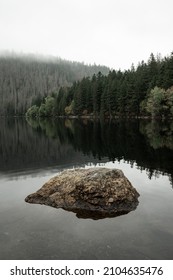 Black Lake In Fog, Sumava National Park, Czech Republic