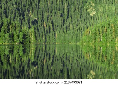 Black Lake Landscape At Sunrise In Durmitor National Park, Zabljak, Montenegro. Spruce Forest And Mountains Reflecting In Calm Lake Water Surface.