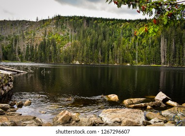 Black Lake Of Sumava