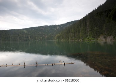 The Black Lake - The Sumava Mountains In The Czech Republic