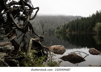 Black Lake At Sumava National Park, Autumn In Czech Republic