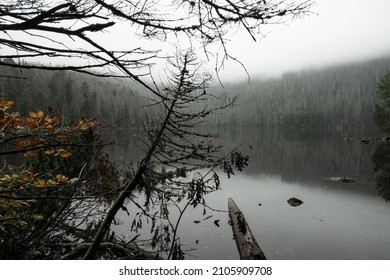 Black Lake At Sumava National Park, Autumn In Czech Republic