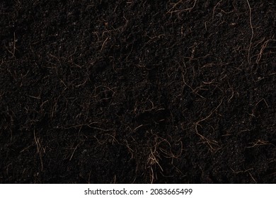 Black Land For Plant Background, Top View Of Fresh Soil With Mulch For Gardening Texture, World Soil Day Concept