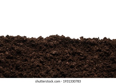 Black land for plant isolated on white background.  - Shutterstock ID 1931330783