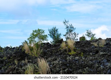 Black Lava Wall Under Mayon Volcano In Albay Legazpi.