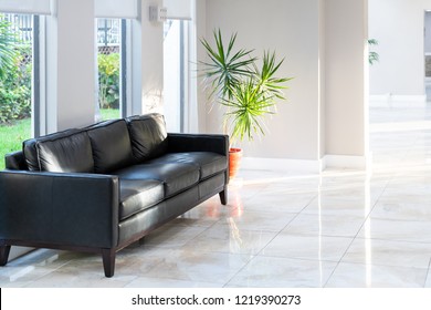 Black Leather Couch, Sofa With Green Potted Palm Tree Plant In Pot With Tiles, Tiled Floor In Hall, Room, Lobby Of Residential, Condo, Condominium House, Building, Complex With Bright, Natural Light