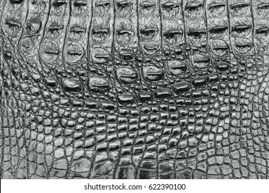 Black leather crocodile texture for background