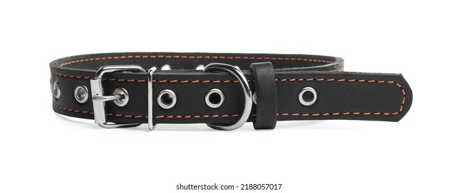 Black Leather Dog Collar Isolated On White