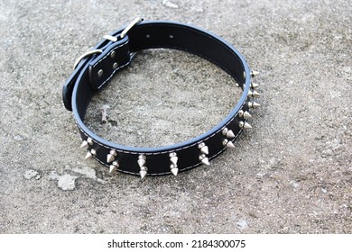 Black Leather Dog Spike Collar Isolated On Semen Background High Angle