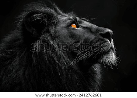 Black Lion, captured with a magnificent mane that flows like a river under a starlit sky. Its eyes, aglow with a blend of wisdom and bravery, tell a story yet to be heard,