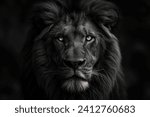 Black Lion, depicted with a luxurious long mane that cascades like a river of night. Its eyes, gleaming with wisdom and courage, hold a story untold, beckoning the viewer into a world of wild elegance