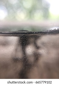 black liquid with bubbles