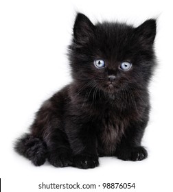 Chaton Noir Images Photos Et Images Vectorielles De Stock Shutterstock