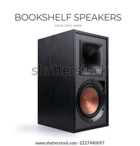 Black loudspeaker with wooden housing on white background - 3D render. High quality photo