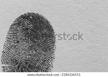 Black macro fingerprint,Fingerprint detail,Real fingerprint in white background Super macro 