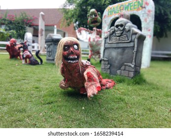 A Black Magic Doll With A Beloved Dog Lying On The Grave.