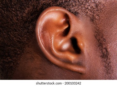 Black Male Ear Close Up