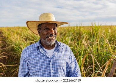 Black Male Farmer Smiling. Brazilian Farmer. Family Farming. Sugar Cane. Closed Plan.