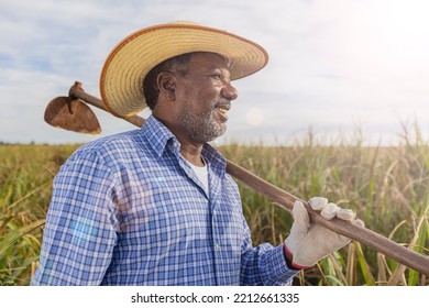 Black Male Farmer Smiling, With A Puff Pastry In His Hands. Brazilian Farmer. Family Farming. Sugar Cane. Closed Plan.