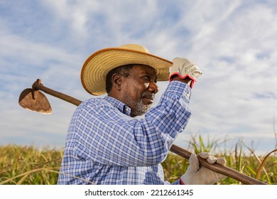 Black Male Farmer Smiling, With A Puff Pastry In His Hands. Brazilian Farmer. Family Farming. Sugar Cane. Closed Plan.