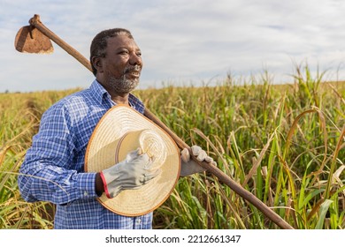 Black Male Farmer Smiling, With A Puff Pastry In His Hands. Brazilian Farmer. Family Farming. Sugar Cane. Closed Plan.