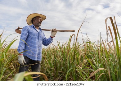 Black Male Farmer Smiling, With A Puff Pastry In His Hands. Brazilian Farmer. Family Farming. Sugar Cane. Closed Plan.