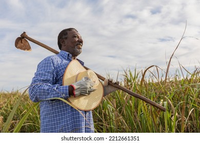 Black Male Farmer Smiling, With A Puff Pastry In His Hands. Brazilian Farmer. Family Farming. Sugar Cane. Closed Plan.