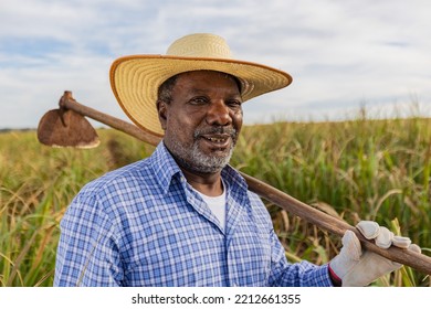 Black Male Farmer Smiling, With A Puff Pastry In His Hands. Brazilian Farmer. Family Farming. Sugar Cane. Closed Plan.