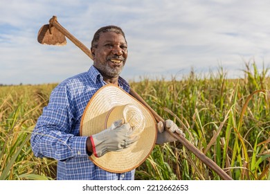 Black Male Farmer Smiling, With A Puff Pastry In His Hands. Brazilian Farmer. Family Farming. Sugar Cane. Closed Plan.