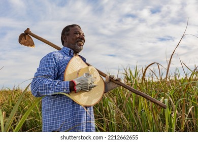 Black Male Farmer Smiling, With A Puff Pastry In His Hands. Brazilian Farmer. Family Farming. Sugar Cane. Closed Plan.