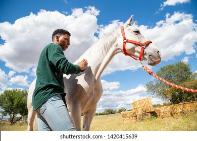 Black man brushing white horse - Powered by Shutterstock