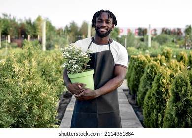 Black Man Holding Flower Pot In Garden Or Greenhouse. Professional Gardener In Apron Working With Blooming Flowers In Pots. Selective Focus. Gardening Activity And Summer Concept