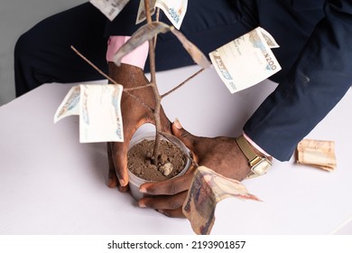 Black Man Holding Money Tree