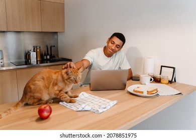 Black Man Petting His Cat While Working With Laptop And Having Breakfast In Hotel