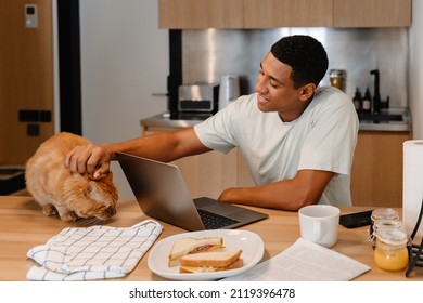 Black Man Petting His Cat While Working With Laptop And Having Breakfast In Hotel