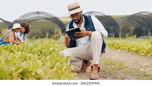 Black man, tablet and farmer in greenhouse for harvest, production or inspection of crops or resources in nature. African male person with technology in agriculture for natural or fresh produce - Powered by Shutterstock