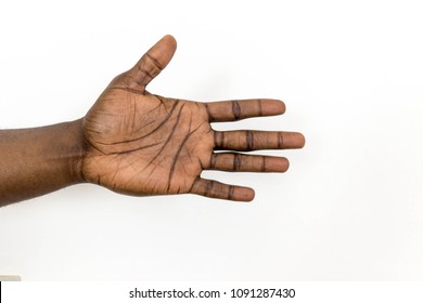 Black Mans Hand With Open Palm Reaching Out. African Hand Spread With Five Fingers Isolated On White Background 