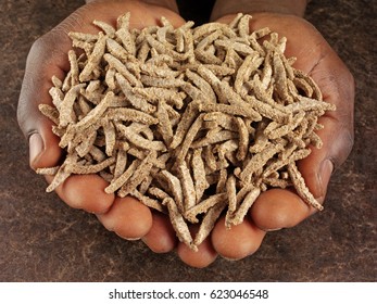 BLACK MAN'S HANDS HOLDING BRAN STICKS - Powered by Shutterstock