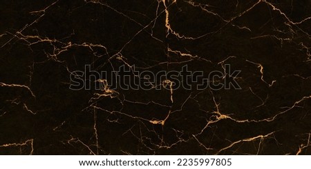 Black marble with golden curly veins, black marble natural pattern for background, abstract black and gold, black and yellow marble, hi gloss marble stone texture for digital wall tiles design.
