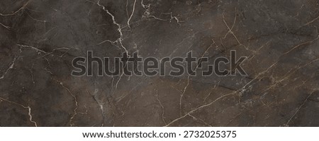 black marble stone texture with light effect, natural background, digital tile surface	